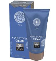 Купить Возбуждающий крем для мужчин Penis Power Cream - 30 мл. в Москве.